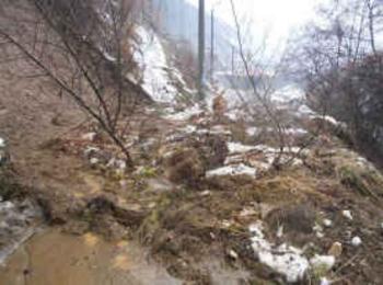 Паднали дървета остраняваха екипи на пожарната по пътя Неделино-Смолян