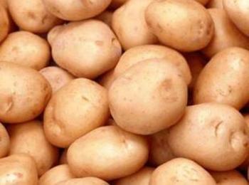 Картофо - производителите ще получат над 1,5 милиона лева до края на седмицата