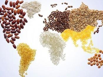 Днес е Световен ден на прехраната