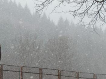 Усложнена е пътната обстановка във високите части на Смолянско заради бурния вятър и падналия сняг