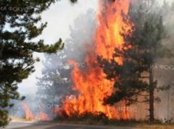Два пожара гасиха огнеборци в Смолянско