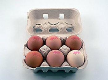 Забраниха продажба на 109 680 бр. яйца