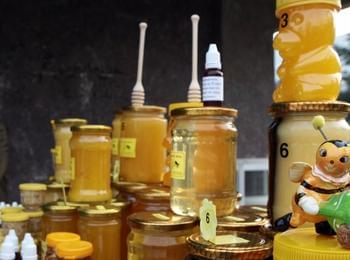  По-високи добиви от мед отчитат пчеларите в Смолянско