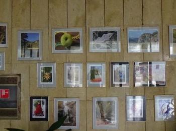 Изложба на фотоклуб „Светлопис” в библиотеката