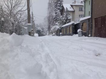 Обстановката с електрозахранването в засегнатите от снеговалежа райони в Родопите постепенно се нормализира