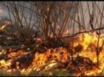24 пожара са възникнали в област Смолян през септември