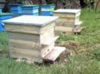   Пчеларско сдружение “Родопска пчела” учредяват в Смолян  