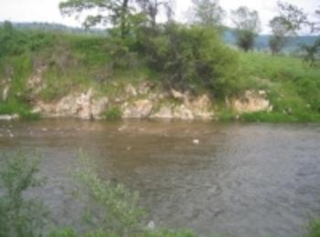 Реките Чепеларска и Юговска са отровени с тежки метали 