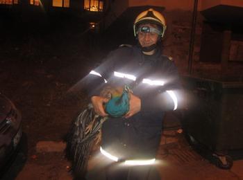 Екип на група "Спасителни дейности" спаси избягал паун в Смолян