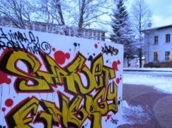 Младежи, повечето от които непълнолетни, изрисували графитите на сградите на общината и съда