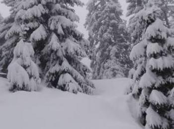 Над 20 см е новата снежна покривка в Смолянко, няма затворени пътища