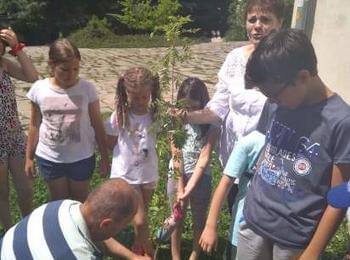 Деца засадиха дръвче пред библиотеката