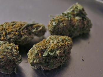 Близо половин килограм марихуана са намерили и иззели полицаи в колата и дома на 45-годишен смолянчанин