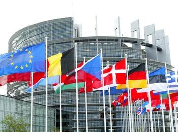Европейският парламент за България - Изявление на Групата за наблюдение на демокрацията