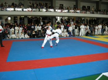 Национален фестивал на бойните спортове ще се проведе в Смолян