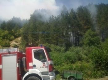 Възрастна жена предизвика пожар, изгорели са 8 дка гора
