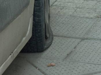 Срязаха  гумите на паркиран джип в Смолян