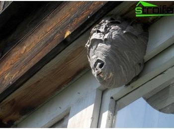 Огнеборци отстраняваха гнезда на оси на покрив на къща в Стража