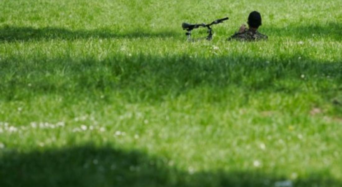 Пръскат срещу кърлежи и бълхи в Смолян