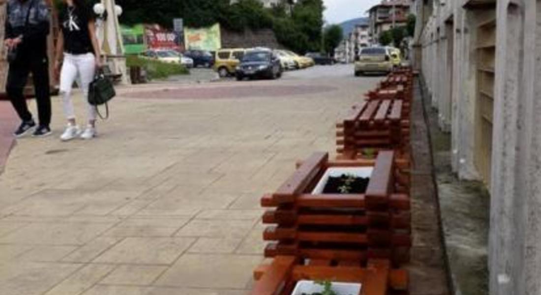 Второ зареждане на общинската оранжерия с 16 500 цветя