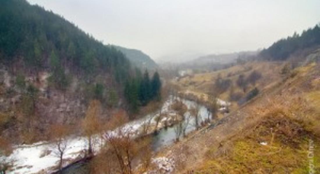 Откриха мъртва риба край Бачково! Не знаят кой е замърсил река Чепеларска
