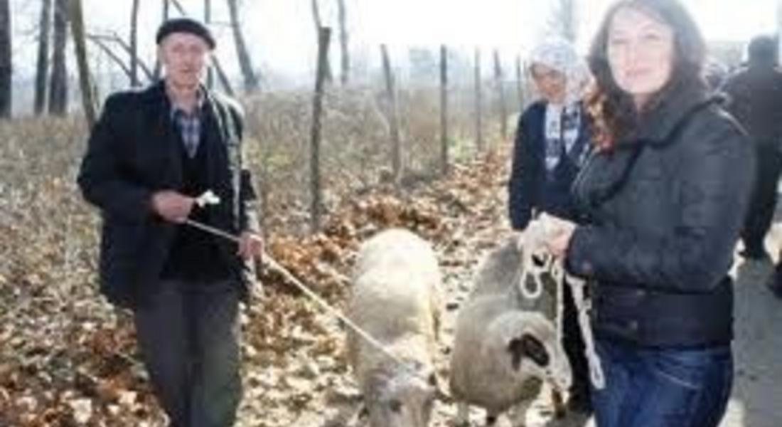 Мюсюлманите у нас честват Курбан Байрам
