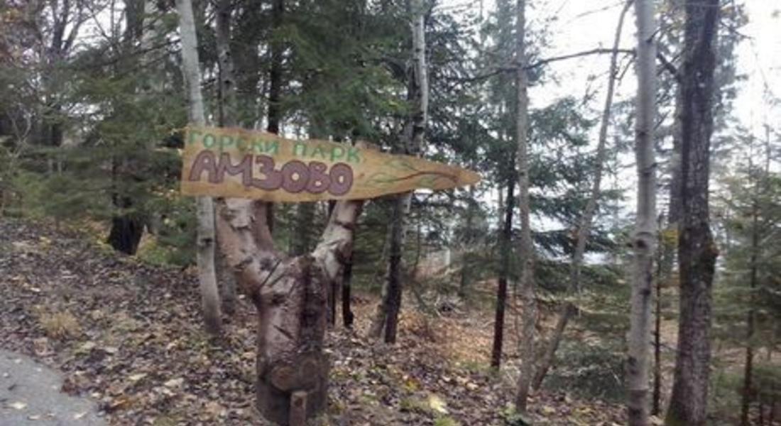 Изграждат система за енергийно захранване на горски парк Амзово по проект