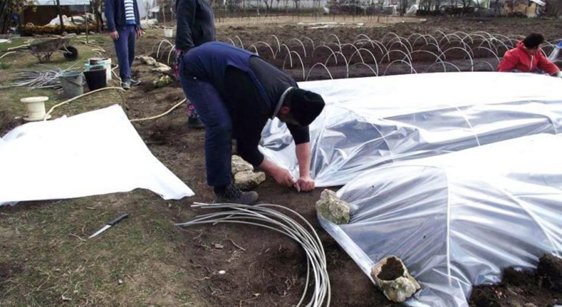  Тютюнопроизводители алармират до Брюксел и искат лична среща с Борисов