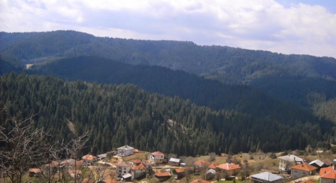  Четири паднали стълба оставиха Чавдар без ток