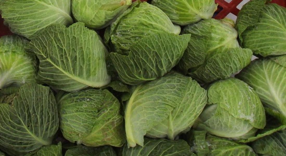 Зеле, броколи и карфиол за по-дълъг живот
