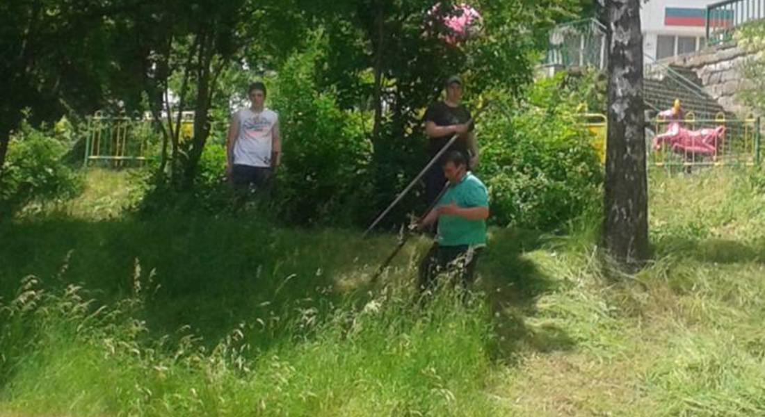 Цветни лехи ще красят с. Момчиловци