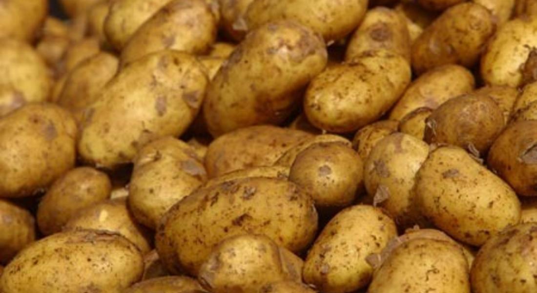 Родопчани наблягат на картофите и киселото мляко