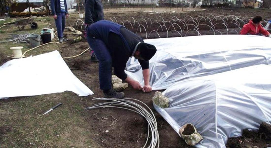 Тютюнопроизводството в Родопите получиха най-доброто разпределение на националните доплащания
