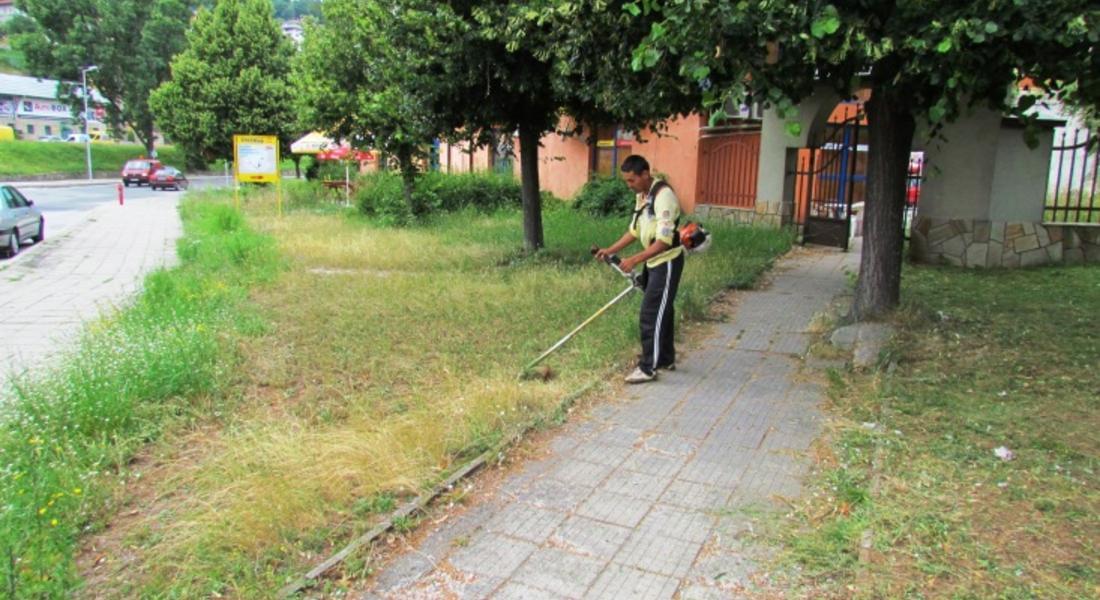 Продължава усиленото косене на зелените зони в Смолян