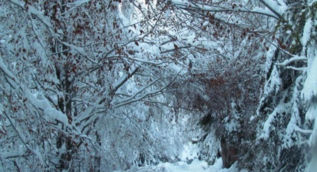  До  40см. достига новата снежна покривка в Смолянско, през планинските проходи само с вериги