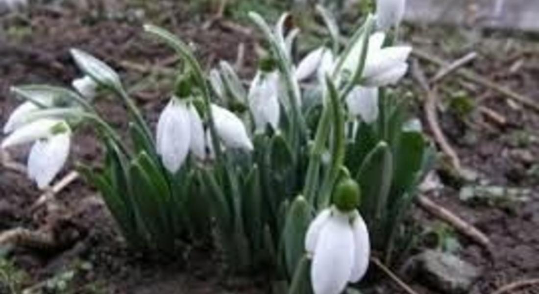  40 градуса разлика през февруари