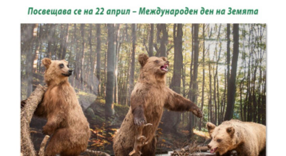 Откриват изложба "Горски приказки за Родопите" в музея