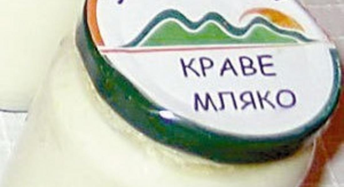 Стартира информационна кампания относно изисквания за добив на краве мляко