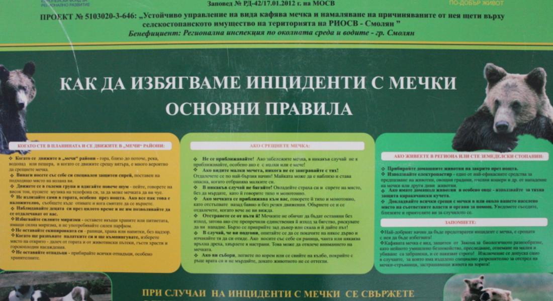 РИОСВ – Смолян стартира разяснителна кампания за предпазване от нападение на мечки