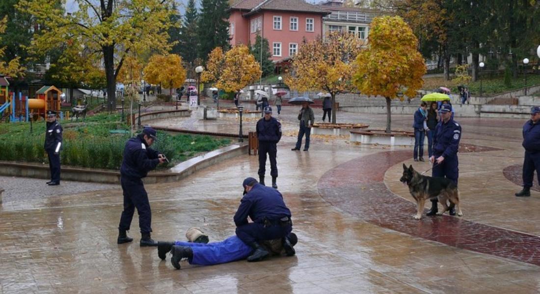 Спад на престъпността отчете полицията в Смолян