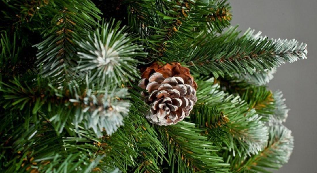 Момчиловци кани на новогодишно тържество днес