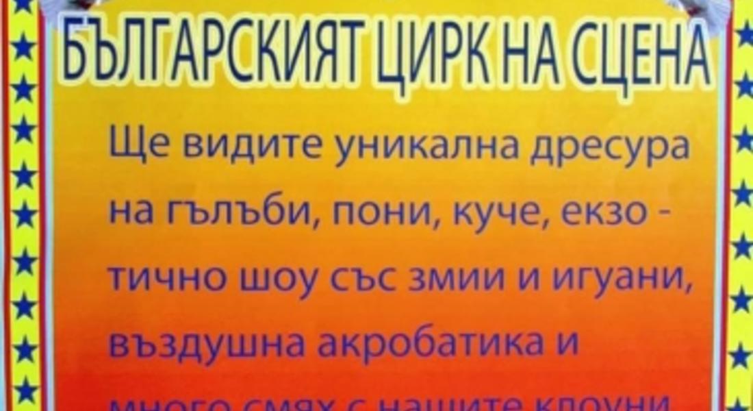 Цирк "РИО" ще гостува в Мадан