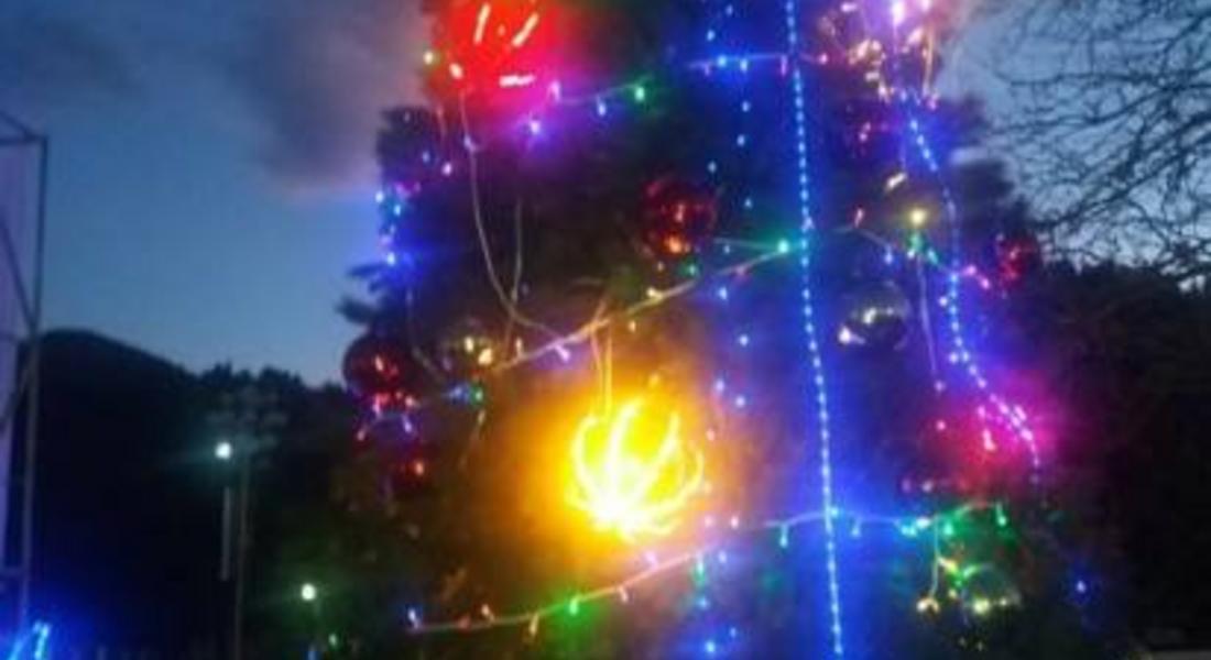 Запалиха светлините на Коледната елха в Смолян