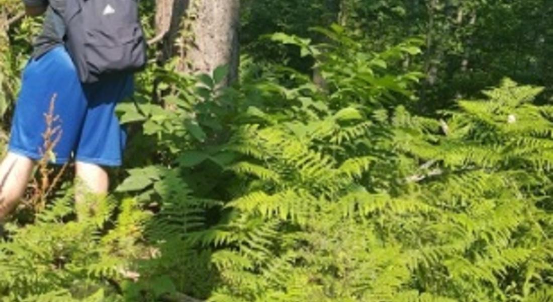 Доброволци маркират туристически пътеки в района на Горното поречие на р. Арда