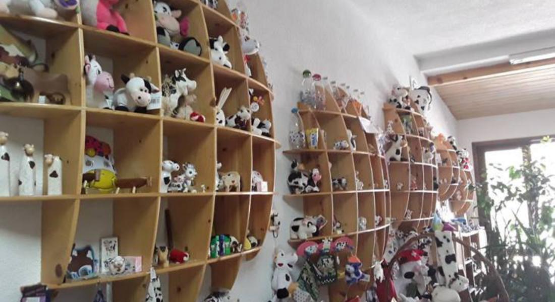 Колекция от 764 крави-сувенири е показана в родопска мандра
