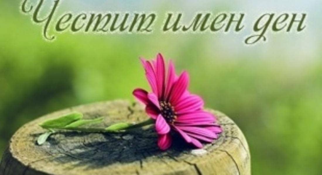 Днес имен ден празнуват Мартин и Мартина
