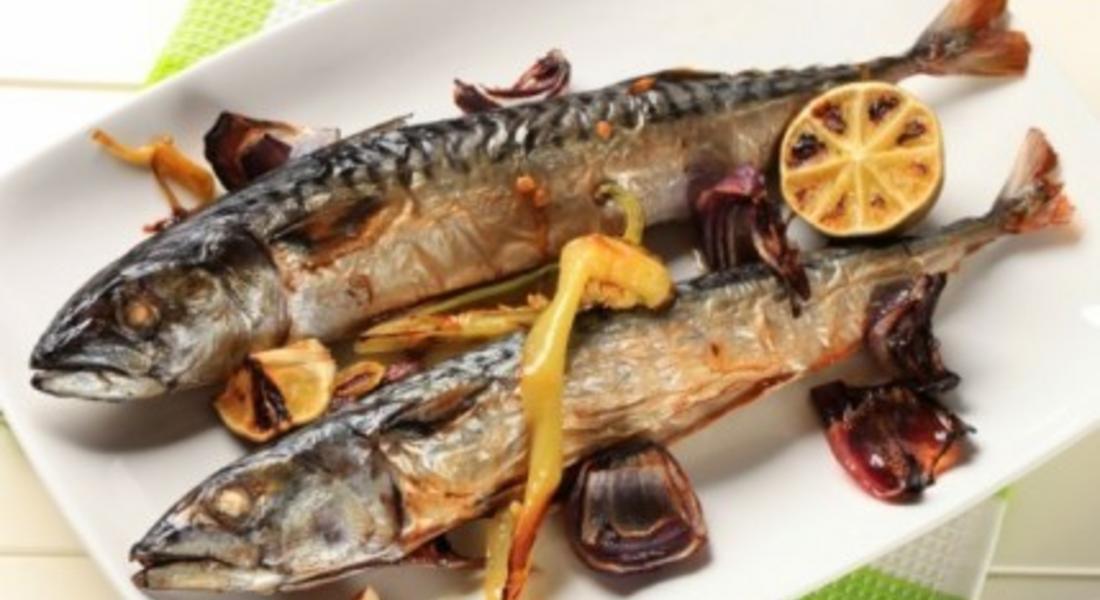 Скумрия с чесън по гръцки