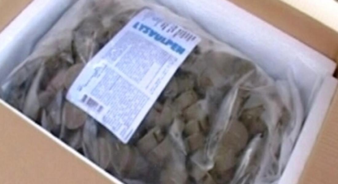 Ваксинират срещу бяс при дивите хищници