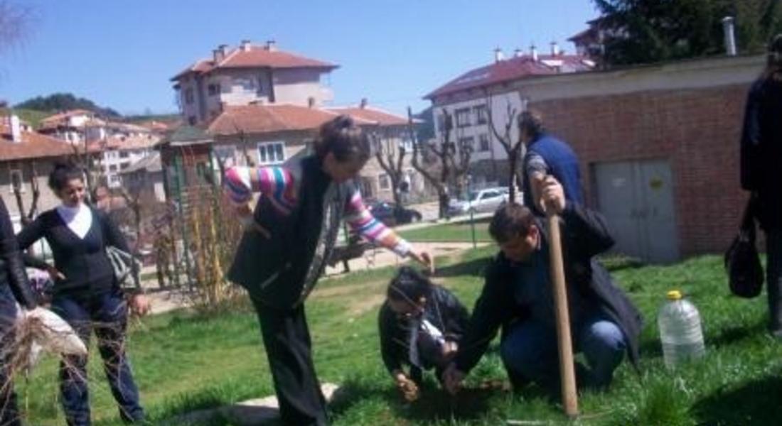 Обогатиха зелената система в Златоград
