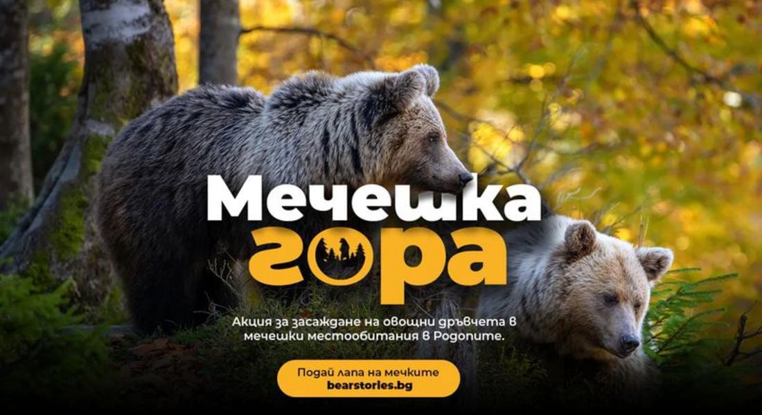  Засаждат Мечешка гора с 1000 плодни дръвчета край родопско село